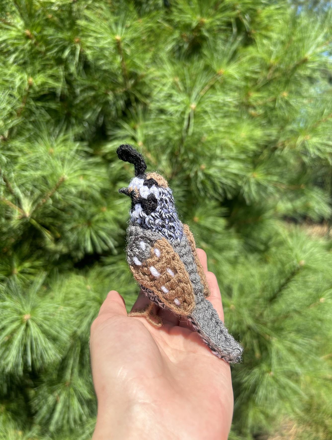 California Quail Written Crochet Pattern | DIGITAL PDF