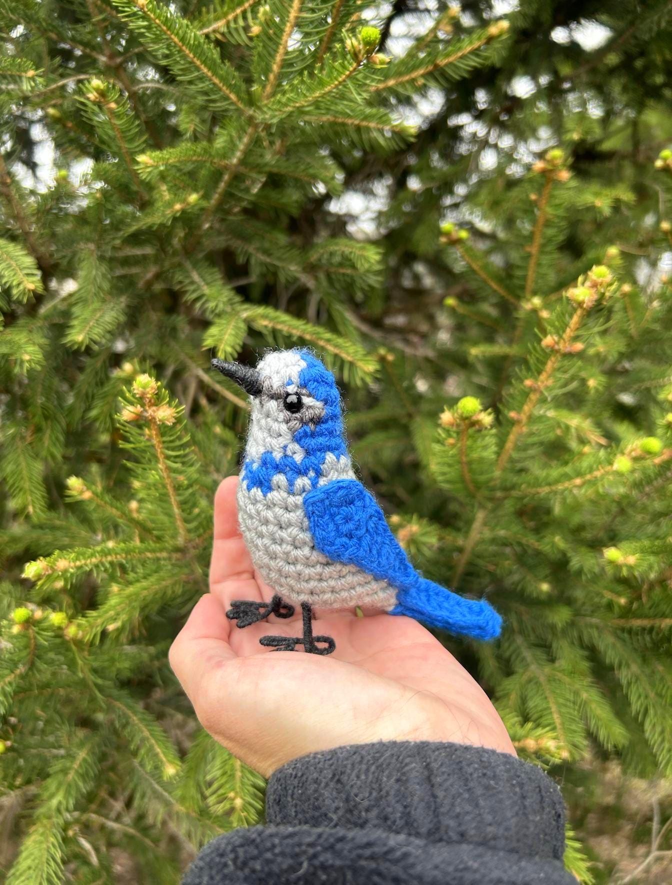 Scrub Jay Written Crochet Pattern | DIGITAL PDF