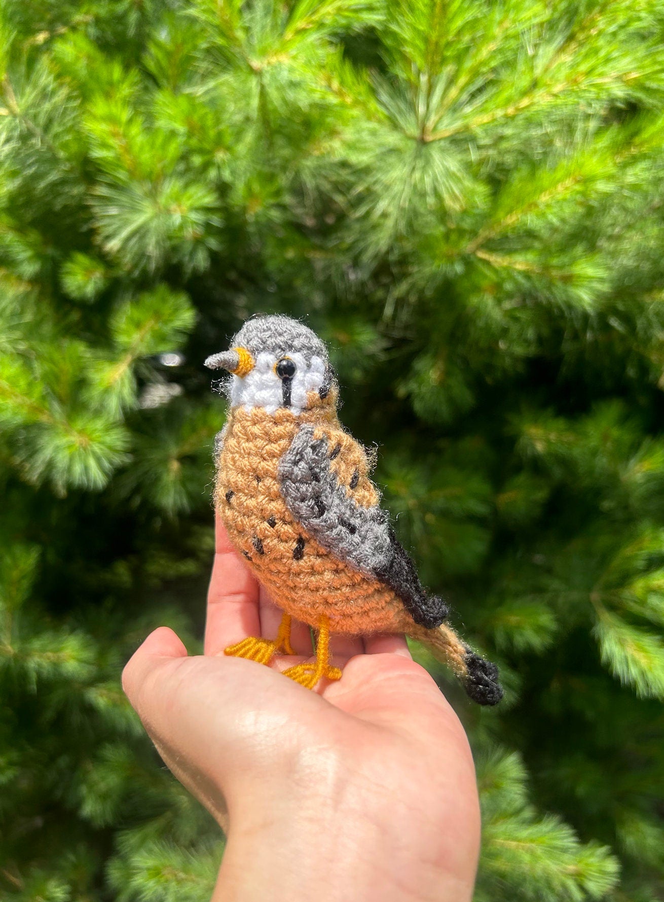 American Kestrel Written Crochet Pattern | DIGITAL PDF