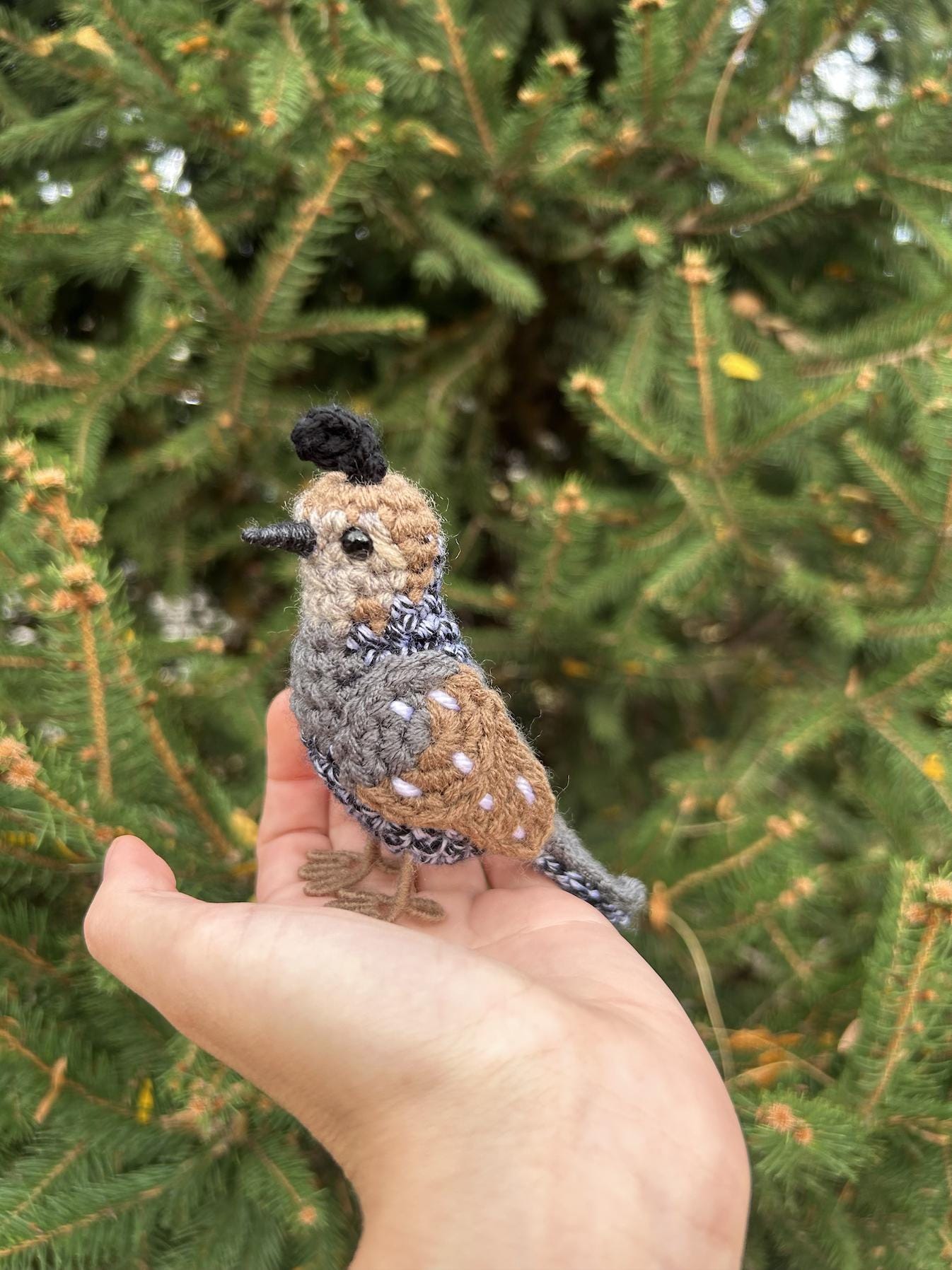 Female California Quail Written Crochet Pattern | DIGITAL PDF