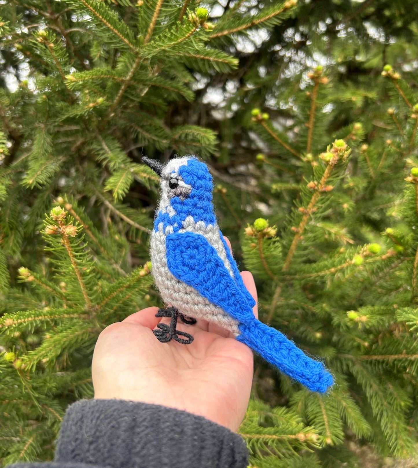 Scrub Jay Written Crochet Pattern | DIGITAL PDF