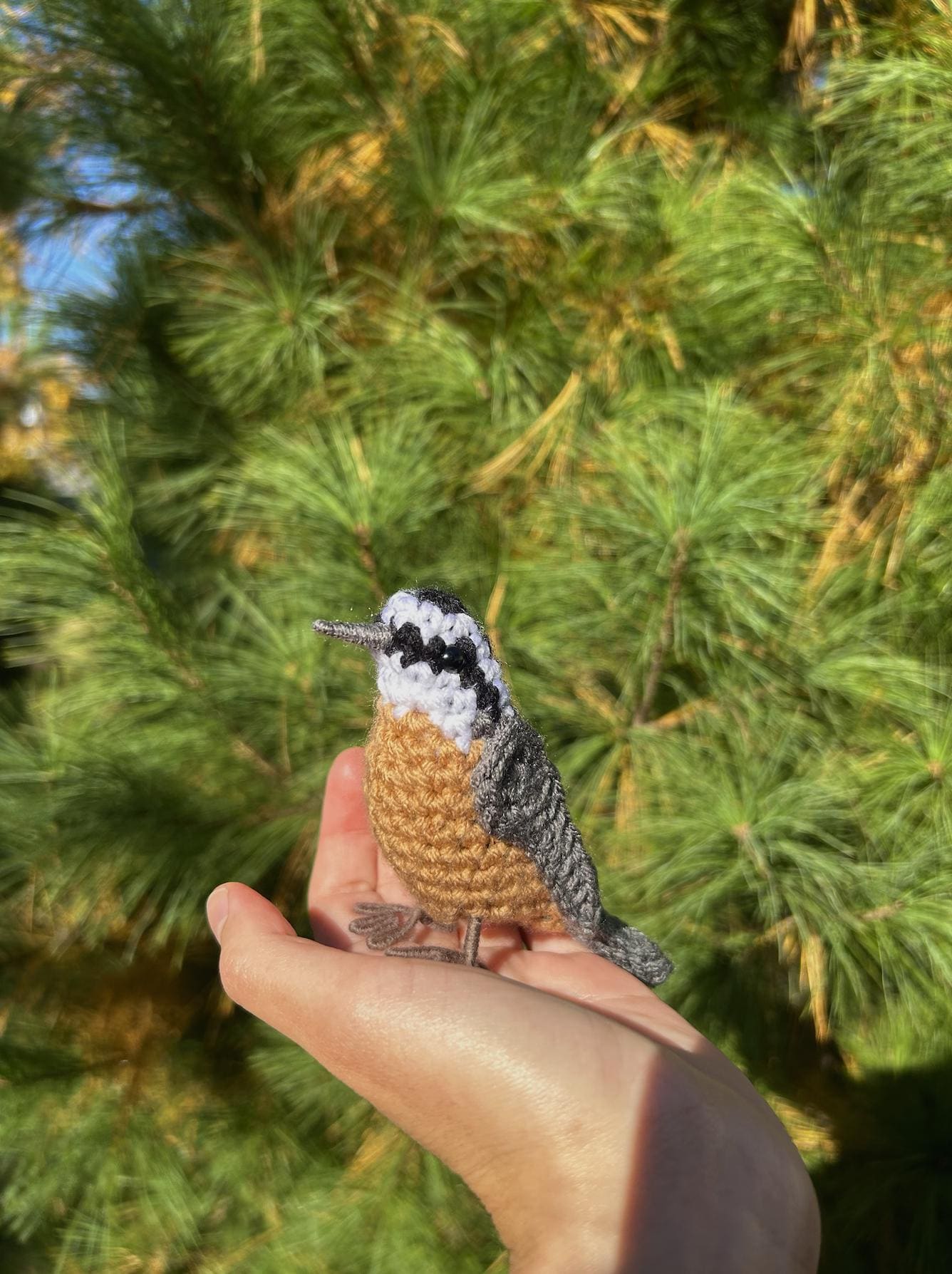 Red-breasted Nuthatch Written Crochet Pattern | DIGITAL PDF