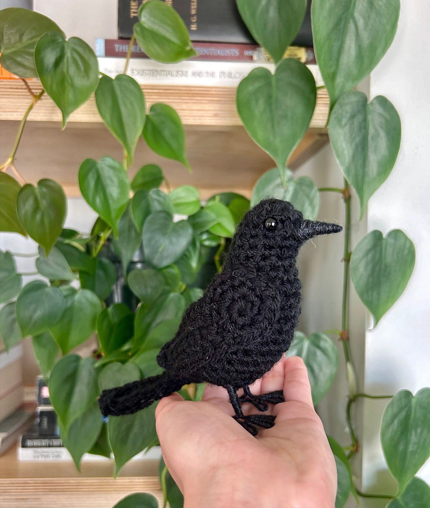 Beautiful Raven Written Crochet Pattern | DIGITAL PDF