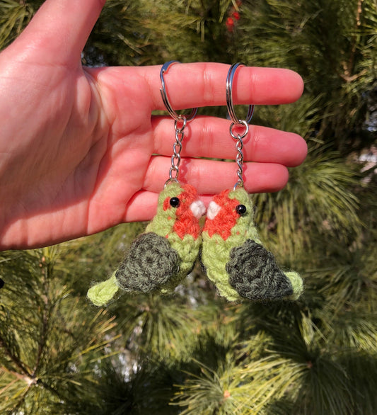 Hand holding two green and red bird keychains against a blurred natural background