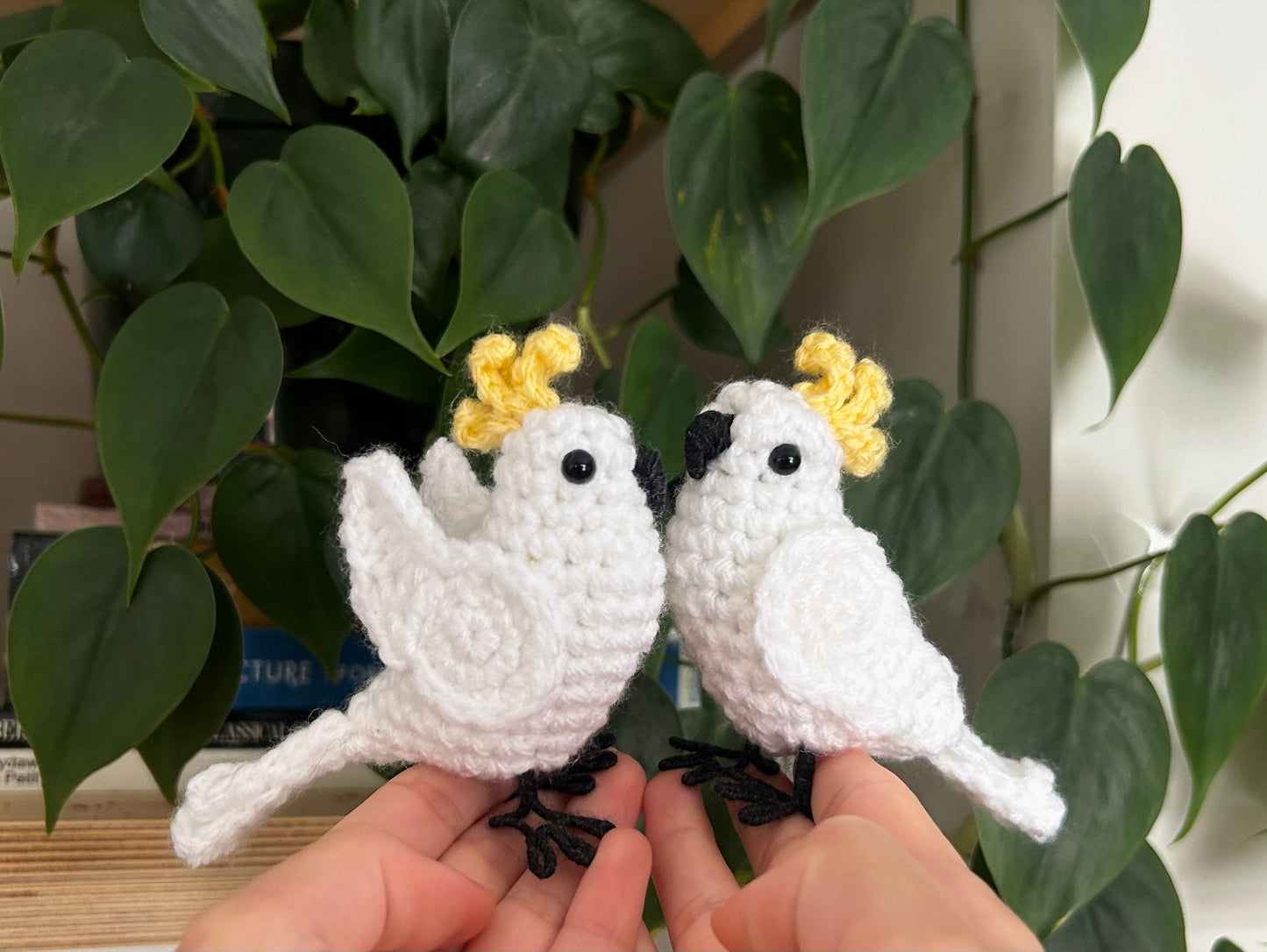 Little Cockatoos Written Crochet Pattern | DIGITAL PDF