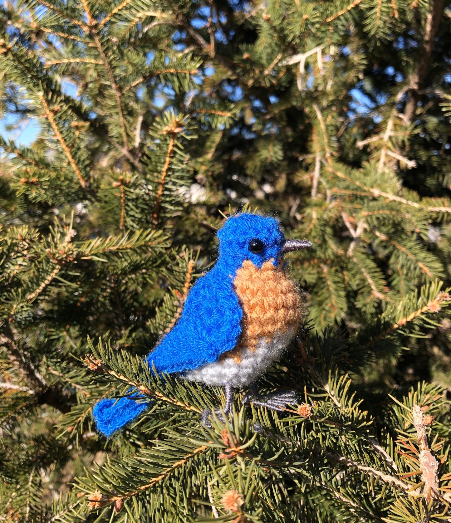 Eastern Bluebird Written Crochet Pattern | DIGITAL PDF