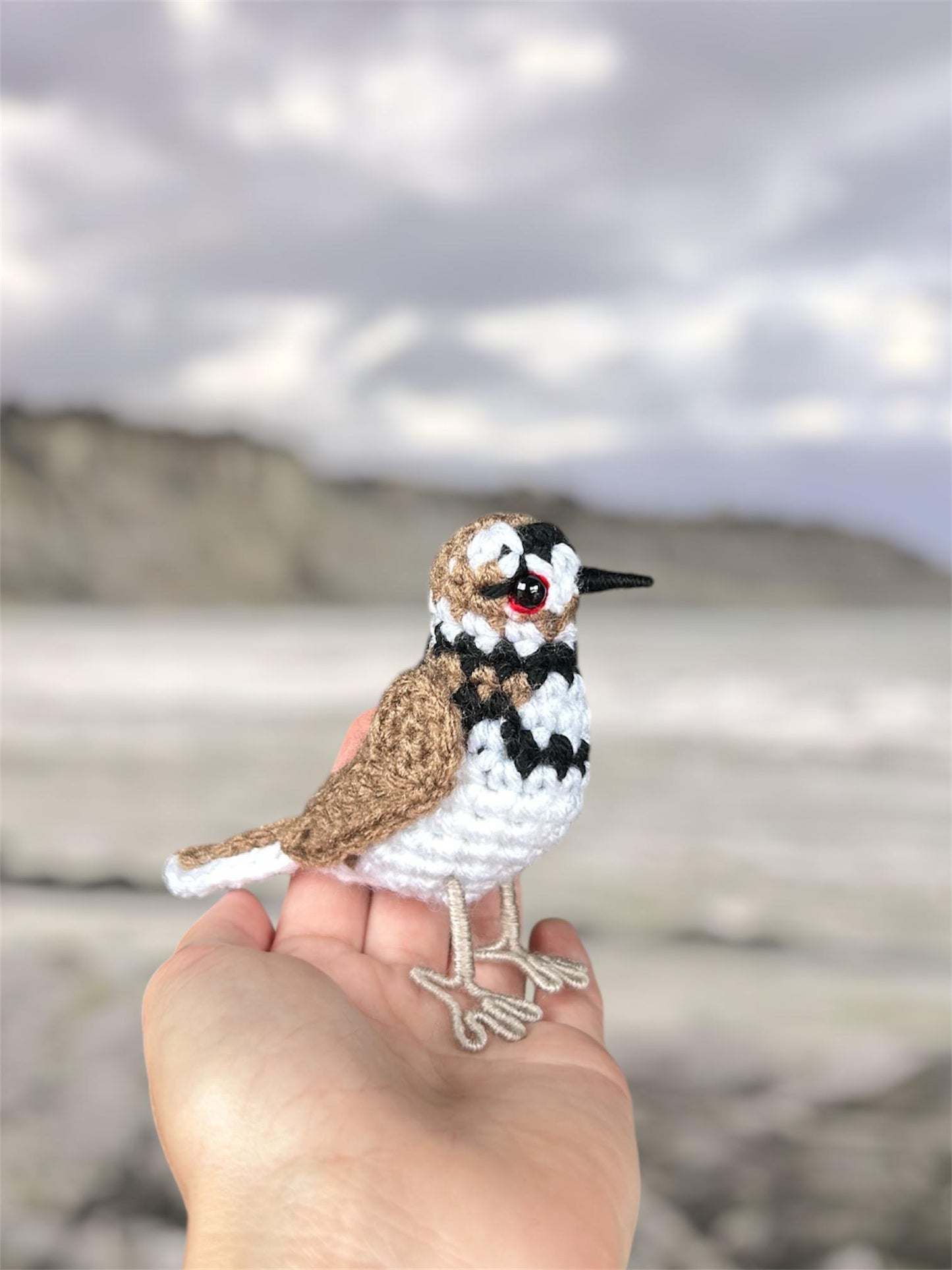 Little Killdeer Written Crochet Pattern | DIGITAL PDF