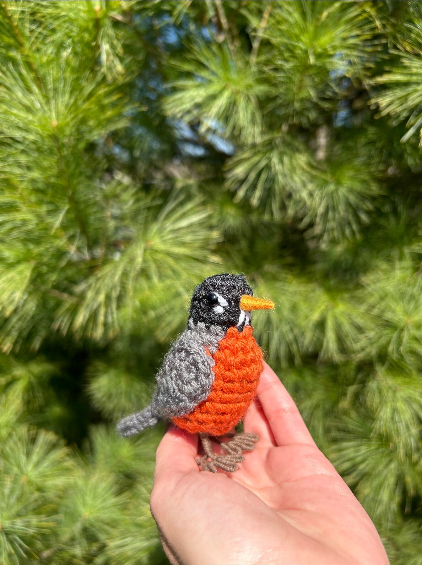 American Robin Written Crochet Pattern | DIGITAL PDF