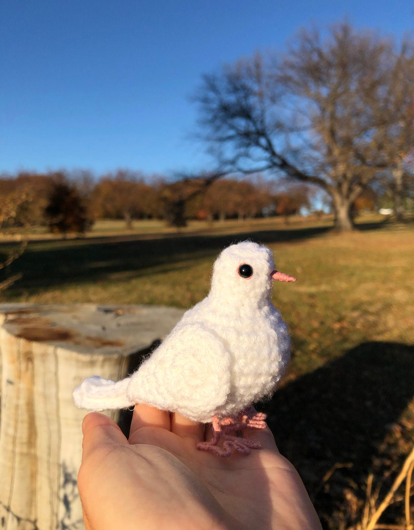 Crocheted white pigeon held in a hand with a scenic background of trees.